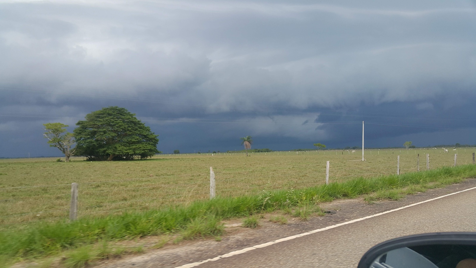 Llanuras verdes y humedales del departamento de Casanare