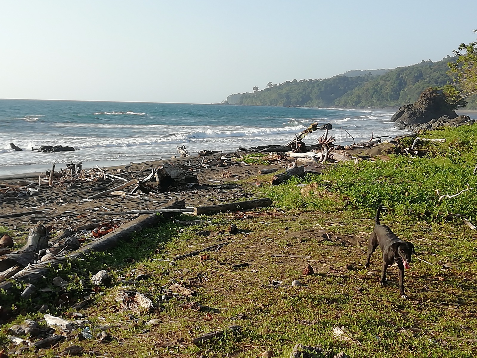 Playa El Nativo rodeada de vegetación en Bahía Solano